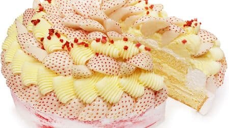 カフェコムサ 希少な「白いちごとカスタードクリームのショートケーキ」2日間限定販売！