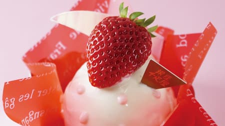銀座千疋屋「苺のドームムース バレンタインVer.」数量限定！苺とチョコの2層のムース