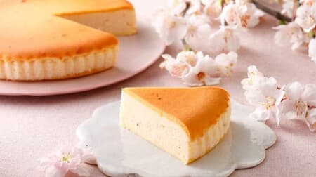 Sakura flavor of the most popular product "Imperial Villa Cheesecake" in the cheese garden "Imperial Villa Sakura Cheesecake"
