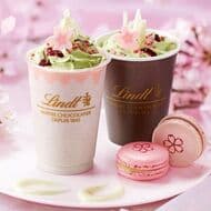 リンツ「さくら咲く チョコレートドリンク」シロップ漬け桜花や桜葉入りホイップクリームがトッピング！
