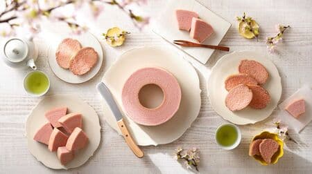 Jiichiro's "Cherry Blossom Baumkuchen" and "Cherry Blossom Rusk" - the taste of spring with a hint of salt! Gorgeous "Cherry Blossom Gifts" are also available.
