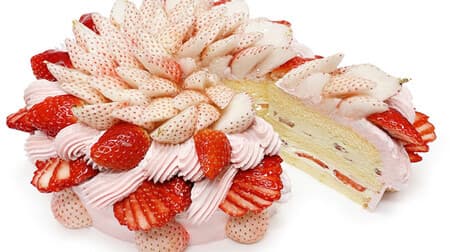 カフェコムサ「白いちごとおすすめいちごのショートケーキ」ショートケーキの日から2日間限定！