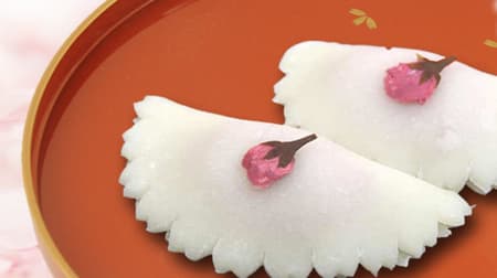 Matsue / Keigetsudo "Sakura News" Petal-shaped uiro on white bean paste with cherry leaves!