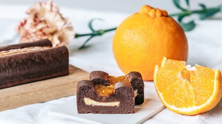 Minimal "Raw Gateau Chocolate -Deco Pon-" can be delivered nationwide! Rich chocolate x sweet and sour citrus
