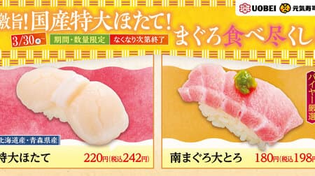 Genki Sushi "Extra Large Scallop" and Buyer's Carefully Selected "Southern Bluefin Tuna Daitoro" Melt the umami that is tightly packed!