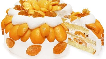 カフェコムサ「高倉びわ」とレモンティーゼリーのショートケーキ！本州初上陸びわの甘み口いっぱいに