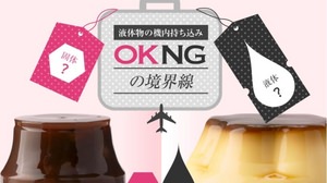 Are pudding and salted fish drinks ...? Boundary between carry-on OK and NG