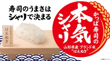 かっぱ寿司 ネタなし「本気シャリ」山形県産ブランド米 “はえぬき” 使用！贅沢「やま幸の天然本鮪」も
