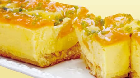 成城石井自家製「4種フルーツのトロピカルチーズケーキ」WEB予約限定！