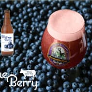サンクトガーレン「ホエイサワーエール ブルーベリー」紫色の甘酸っぱいビール！チーズ製造時の “ホエイ” 活用