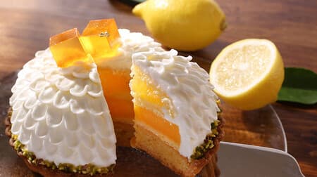 Antenol "Setouchi Lemon Tart" Limited order cake using Setouchi Lemon