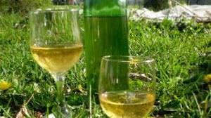 Following "Dandelion Coffee" ... "Wine" made from Dandelion? --But don't eat the one that grows in the garden!