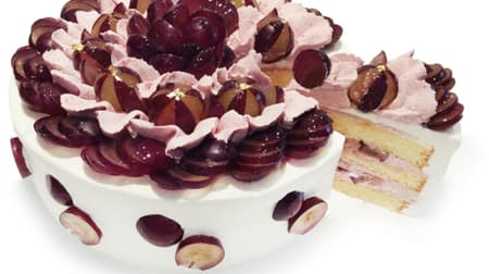 カフェコムサ「巨峰とグリオットクリームのショートケーキ」「シャインマスカットとチーズクリームのショートケーキ」など “ぶどうの日” のショートケーキ！