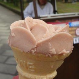 長崎県の出島でババヘラ系アイス「ちりんちりんあいす」食べてきた！チョコレート発祥の地にちなんだ前田冷菓の限定の味