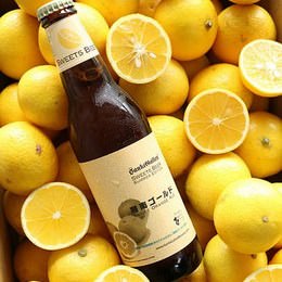 神奈川産 “幻のオレンジ” を使ったフルーツビール「湘南ゴールド」、今年も登場！