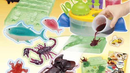 Cooking toy "Gummy Lab Research Presentation DX" A kit for making insect-shaped and fish-shaped gummy candies! Includes recipes such as Dorcus hopei binodani made from seaweed tsukudani and honey beetle made from honey
