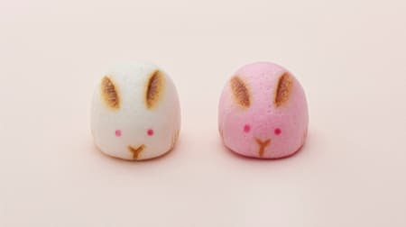 Toraya "Rabbit Manju" A set of two rabbit-shaped red and white buns! White skin is gozen bean paste Red skin is Ogura bean paste Rich flavor of bun