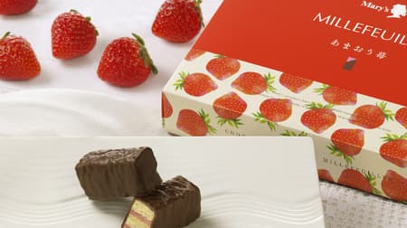 Mary chocolate "Mille-feuille" Strawberry cream coated with pie and sweet chocolate with cacao scent!
