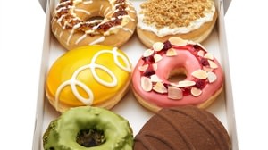The world's “popular Dolce” becomes a KKD donut! "World Dolce Box"