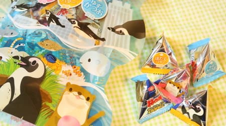 [Tasting] "Sunshine Aquarium Kameda Kaki no Tane Assortment" Ikayaki Mayo, Hotate Butter, Yuzukatsuo 3 types! Perfect for souvenirs in individual wrapping
