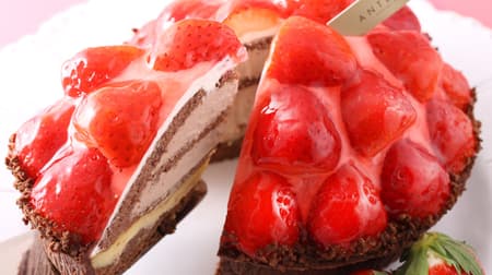 アンテノール「苺のショコラタルト」「苺のショートケーキBOX」「苺とルビーのショコラロール」 “苺フェスタ”