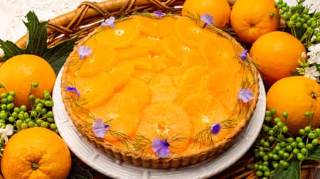 キル フェ ボン「静岡県浜松市産“白柳ネーブル”のタルト」アーモンドクリームに太陽のオレンジ色で旬の柑橘の味わい！