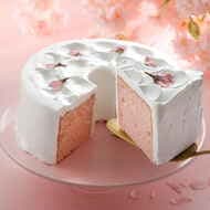 スタバ「さくらシフォンケーキ」「洋梨とアップルのカスタードシブーストケーキ」「さくらとベリーのパウンドケーキ」「さくらドーナツ」「アールグレイスコーン」など春の新作フードまとめ！