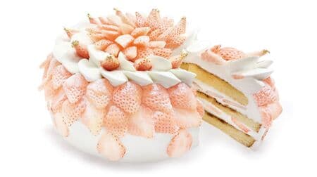 Cafe Commeza's "White Tiramisu Shortcake with White Strawberries" Limited to Two Days on "Shortcake Day"!