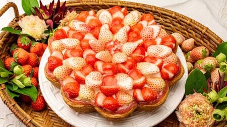 Kylfebon 30th Anniversary: "White Strawberry and Peach Tart with Royal Milk Tea Flavor" by Kylfebon Aoyama Store - Two colors of strawberries are gorgeous!
