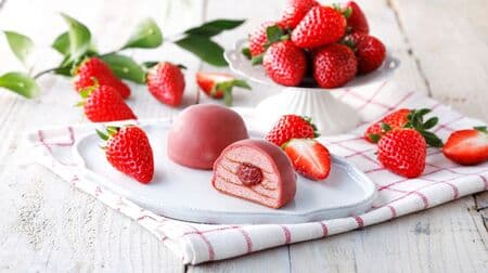 Ishiya Seika "Chocolate-covered Strawberry Maruyama Kuchen", "Sakura Tomomo" and "Spring Selection" - New Products for Spring