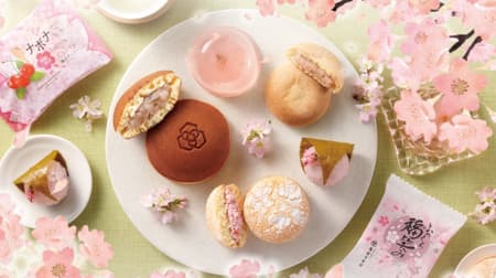 Cherry blossom confections such as Kameya Mannendo's "Sakura Dorayaki", "Fukkura Fukumomi Sakura An", and "Sakura Saku"! For cherry blossom viewing, entrance and graduation gifts