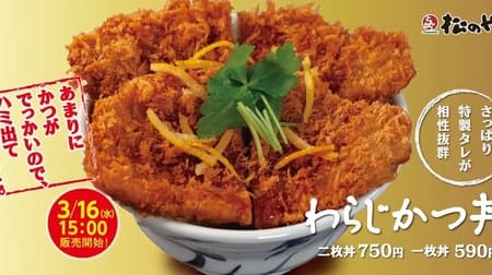 Matsunoya "Waraji-katsu-don" and "Waraji-katsu Teishoku" - Voluminous katsu & refreshing special sauce are a perfect match.