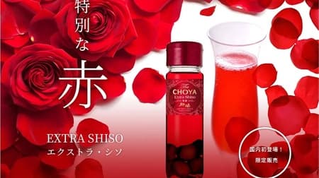 「ザ・チョーヤ エクストラ・シソ（The CHOYA Extra Shiso）」チョーヤ梅酒オンラインショップ「蝶矢庵」に登場！