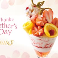 タカノフルーツパーラー「母の日パフェ」花切りやハート型にカットされた苺・マンゴー・柑橘のブーケ！