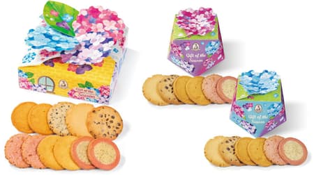 Aunt Stella's Cookies "Smile Blooming Colorful Hydrangea Gift" "Hydrangea Gift (S)" "Hydrangea Gift (M)