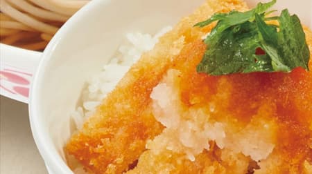 Irorian Kiraku "Mini Oroshi-Katsudon Set" with Oroshi Ponzu (grated ponzu) makes you want to eat it even in summer!