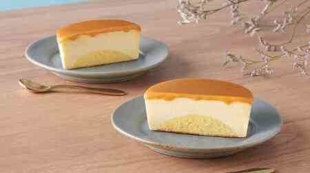 Imuraya "Cheese Terrine Ice Cream" - Cheese cake, cheese ice cream and cheese sauce layered to taste like cheese terrine