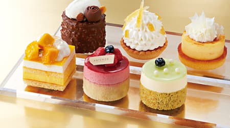 Frozen cake set including "Lemon Tart" and "Mango Rare Cheese" for the mid-pack of Antenor's "Petit Gateau Assorti