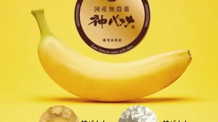 「神バナナペースト」「神バナナパウダー」国産バナナ丸ごと！人気の神バナナを加工用に