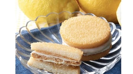 Chateraise New Chocolate Sweets Summary! friand chocolat sandwich pie with salted lemon
