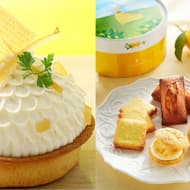 アンテノール「レモンのタルト」ホールサイズや焼き菓子「レモンのクリームサンド アソート」など “レモンフェスタ” 