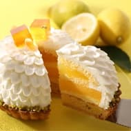 アンテノール「瀬戸内レモンのタルト」オンラインショップだけのプレミアムな夏限定タルト