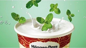 White ice cream with mint flavor-Haagen-Dazs "Creamy Mint"