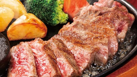 Steak-no-Don "Japanese beef ribeye steak" and "hamburger steak & Japanese beef offcuts beef lunch" rich in sashi flavor!