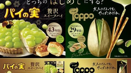 Pie Nuts [Rewarding Muscat Tart] and Toppo [Rich Pistachio], the hottest flavors in Lotte's popular chocolate lineup!