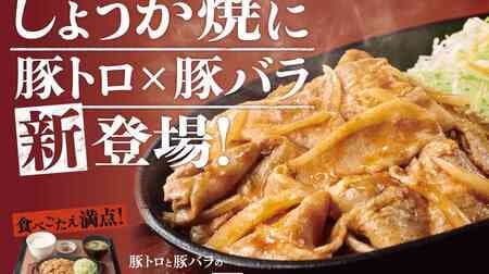 Yayoiken "Ginger-yaki set meal of pork tenderloin and pork belly", "[With ham cutlet] Ginger-yaki set meal of pork tenderloin and pork belly", "Ham cutlet (single item)
