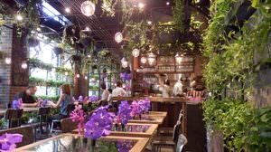 温室みたいな花と緑のカフェ「Aoyama Flower Market TEA HOUSE」でバラを味わう