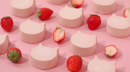 Neko Neko "Nyanchi Strawberry" Mini Cheesecakes with Strawberries in Season! Heart Bread Antique and Pastel.