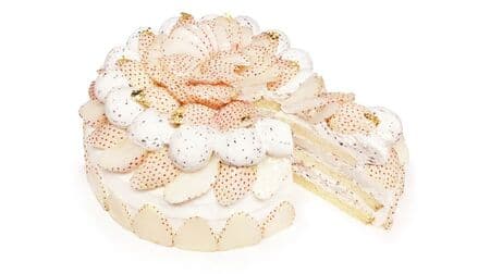 カフェコムサ「白いちごのショートケーキ」クッキークリーム＆ふわふわスポンジの組み合わせ