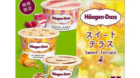 Haagen-Dazs Assortment Box "Sweet Terrace (Strawberry & Milk, Maple Cookie, Creamy Espresso)